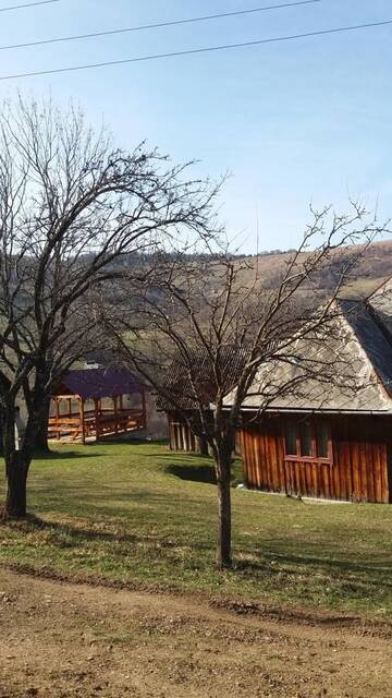 Фото Дома для отпуска Cabana Bunicilor г. Рэкицеле 3